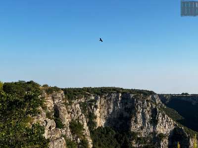 Proprio mentre stiamo parlando avvistiamo in alto un nibbio bruno. �Svolazza su di noi perch� � curioso o perch� avverte un pericolo�, avverte la guida 